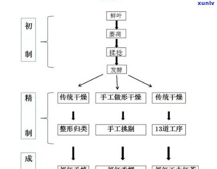  *** 红茶的工艺流程- *** 红茶的工艺流程图