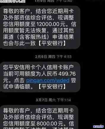 鼓浪屿特产茶叶：种类丰富、形态独特，包括龙珠茶等，附图片展示