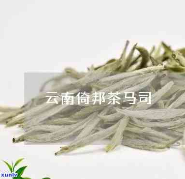 西双版纳倚邦茶马司-西双版纳倚邦茶马司茶业