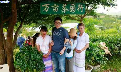 西双版纳十大茶山，探秘西双版纳十大茶山：品味云南特色普洱茶的魅力