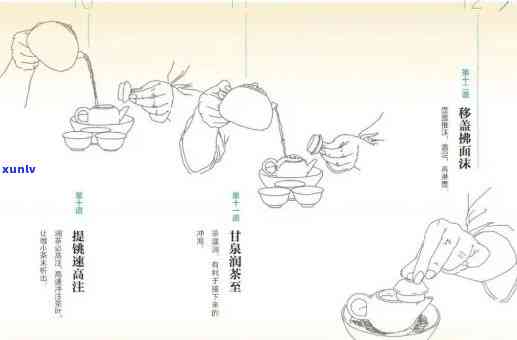 基本泡茶步骤与用具全面教学视频