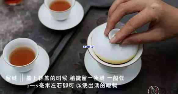 泡茶步骤视频教程全集 - 碗泡法详解