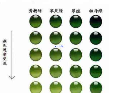 区分玉和翡翠的标准：从颜色、硬度到密度全面解析