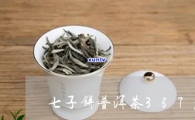 木七子饼普洱茶价格全解析：357克规格与特查报告