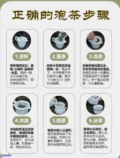 水杯泡茶的 *** 步骤详细教程及图片展示