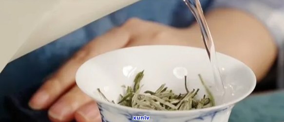 家庭泡茶的步骤视频，轻松学会！家庭泡茶的完整步骤视频教程