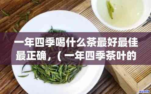 一年四喝茶叶的顺序，四饮茶攻略：如何按照时节选择适合的茶叶？