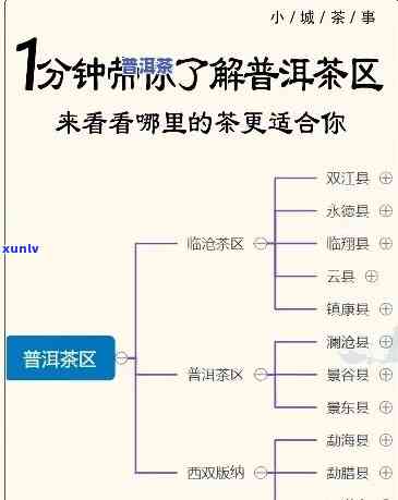 四大茶产区：揭秘最重要的茶叶生产地