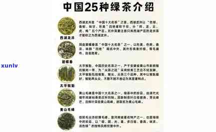 中茶2007年6221，中茶2007年6221：探索中国传统茶叶的奥秘与魅力