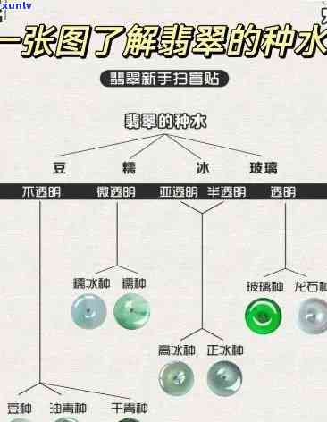 区分翡翠种水-区分翡翠种水图