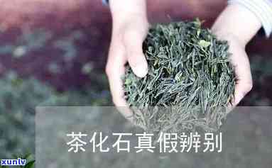 普洱茶砖熟茶价格区间及如何选择合适的茶叶