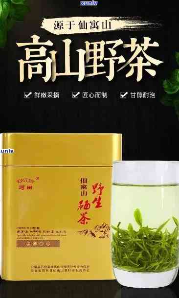 仙寓山野茶好不好，探究仙寓山野茶的品质：是否真的好？