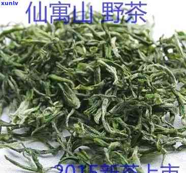 仙寓山野茶价格图片-仙寓山野茶好不好