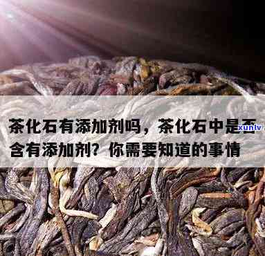 茶化石怎么没有茶味儿，解惑：为什么茶化石没有茶味？