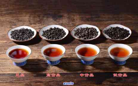 龙圆号茶化石：价格与介绍全解析