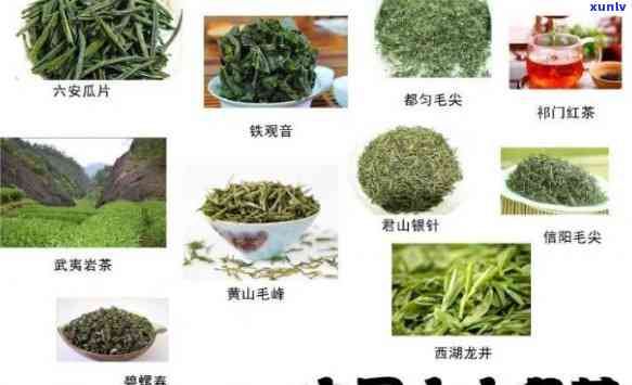 了解中国六大名茶：品种、特点及产地