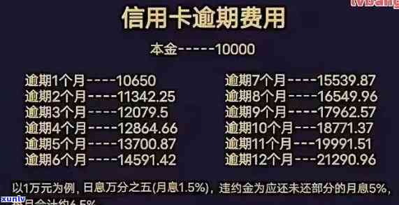 买玉石和翡翠哪个更好？全面对比分析！