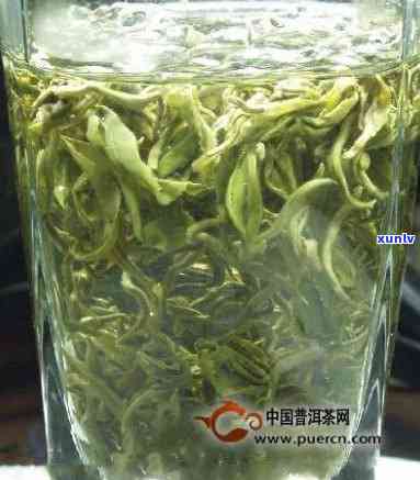 普洱熟茶排行榜前十：推荐及排名