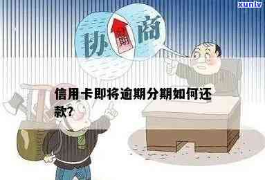 中信逾期分期付款攻略：怎样分摊还款压力？