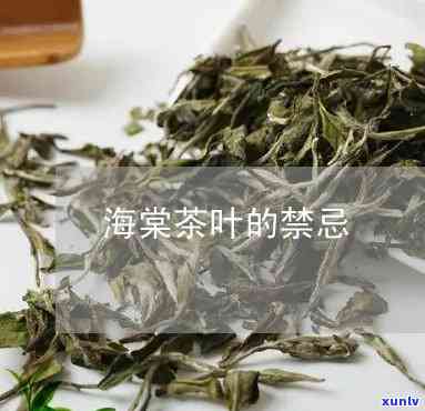 海棠茶的功效与禁忌图片，探究海棠茶的神奇功效与饮用禁忌，一图看清！