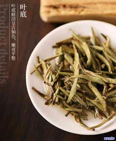 中茶银针白毫20年-中茶银针白毫w901