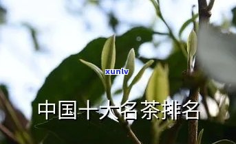 全国十大名茶排行榜，探秘中国茶文化：揭晓全国十大名茶排行榜