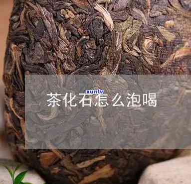 茶化石用多少度水泡-茶化石用多少度水泡