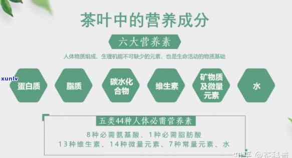 红茶的主要营养成分和健功效，探索红茶的营养价值：主要营养成分与健益处