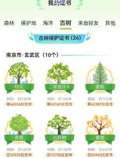 古树如何申请保护？了解申请流程及相关部门