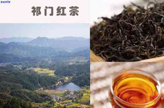 门红茶的生长环境-门红茶的生长环境和特征是什么