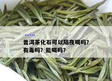 茶化石隔夜能继续泡吗？答案是……