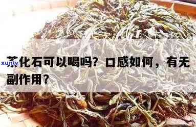 茶化石第二天还能泡吗，茶化石：第二天还能不能继续冲泡？