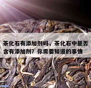 茶化石添加了什么？探究其神秘配方与成分