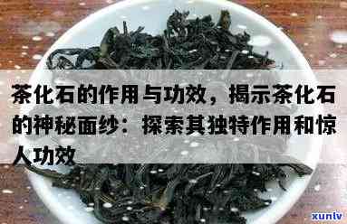 茶化石添加了什么？探究其神秘配方与成分