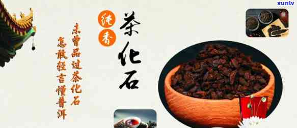 茶化石可以吃吗？全面解析其食用安全性与适宜人群