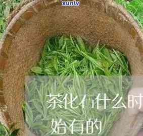 农业银行逾期了几天还款会不会有作用，农业银行逾期还款：会对个人产生作用吗？