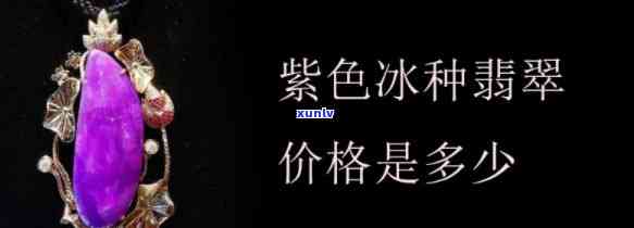 老坑墨绿翡翠价格走势分析：高品质宝石的市场价值探讨