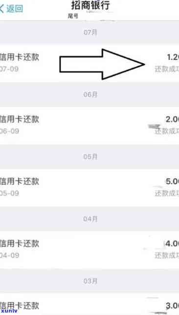 中信逾期怎么查询还款记录，如何查询中信逾期的还款记录？