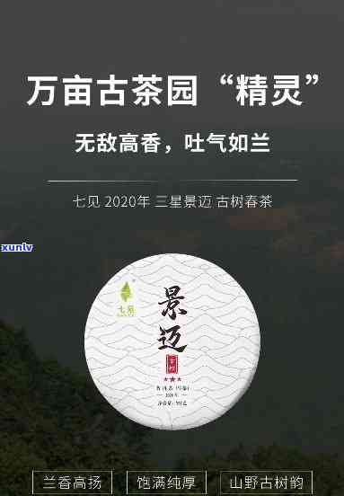 景迈古树茶厂：地址与 *** 信息全览