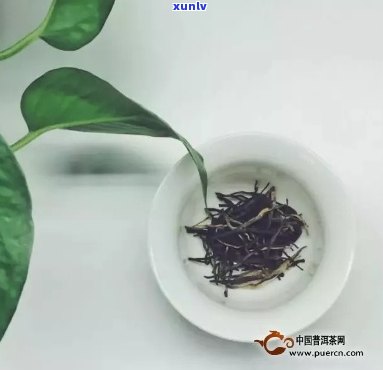 红茶的投茶量是多少，红茶新手必看：如何正确计算投茶量？