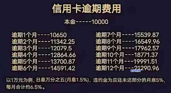 中信银行逾期方案最新，独家揭秘：中信银行逾期还款解决方案全解析