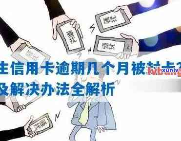 民生逾期怎么办？怎样解决民生信用卡逾期疑问，多久能解除限制？