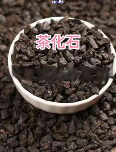 深入了解茶化石与茶饼的区别：从概念、 *** 工艺到口感特点