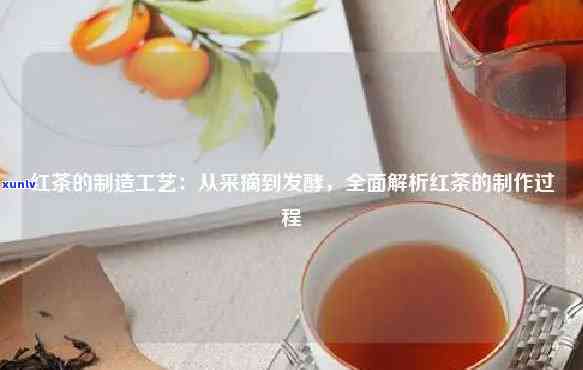 门红茶发酵工艺详解：流程、步骤及注意事