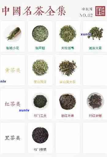 东的名茶有哪几种类型，探寻东名茶：了解其种类和特点