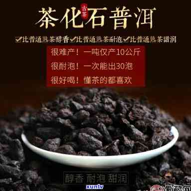 深入解析：茶化石与茶膏的本质区别