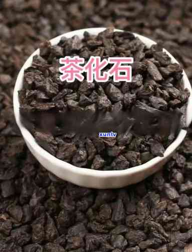 深入解析：茶化石与茶膏的本质区别