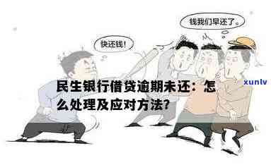 民生银行逾期，已分期但仍无力偿还，怎样解决？