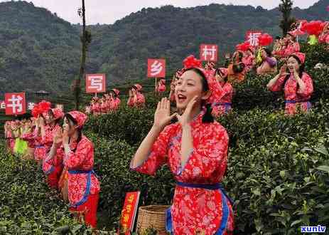 四川名茶有哪些品种名称，探秘四川名茶：了解其品种名称与独特魅力