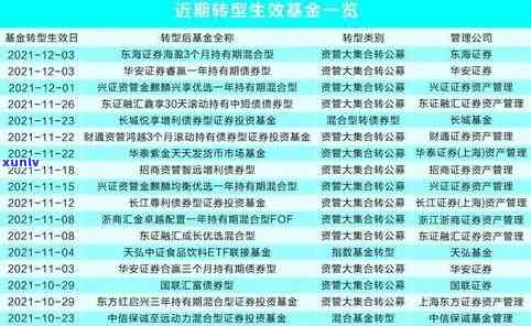 民生基金被罚款：如何应对与处理？